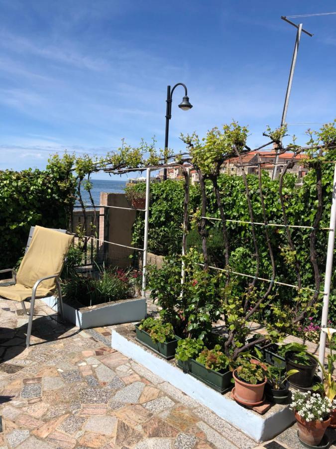 Apartman Ana Umag Buitenkant foto